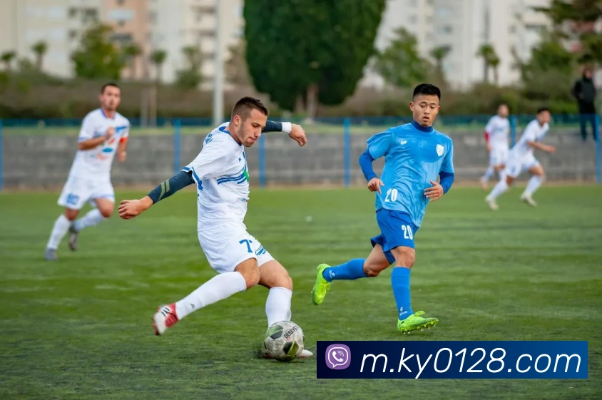 战术分析频道